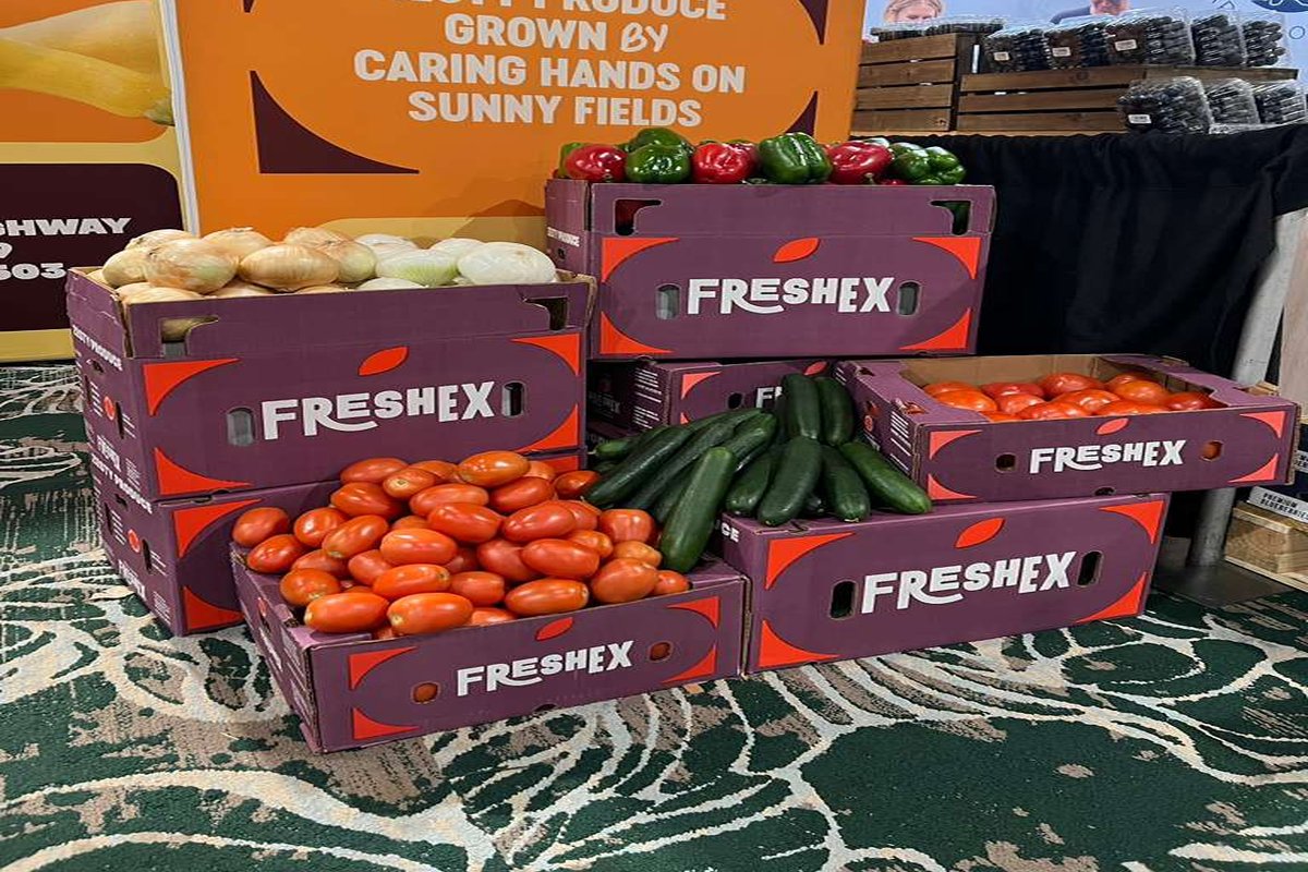 Freshex produce boxes with tomatoes and vegetables